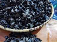 內(nèi)蒙古 鄂倫春黑木耳，